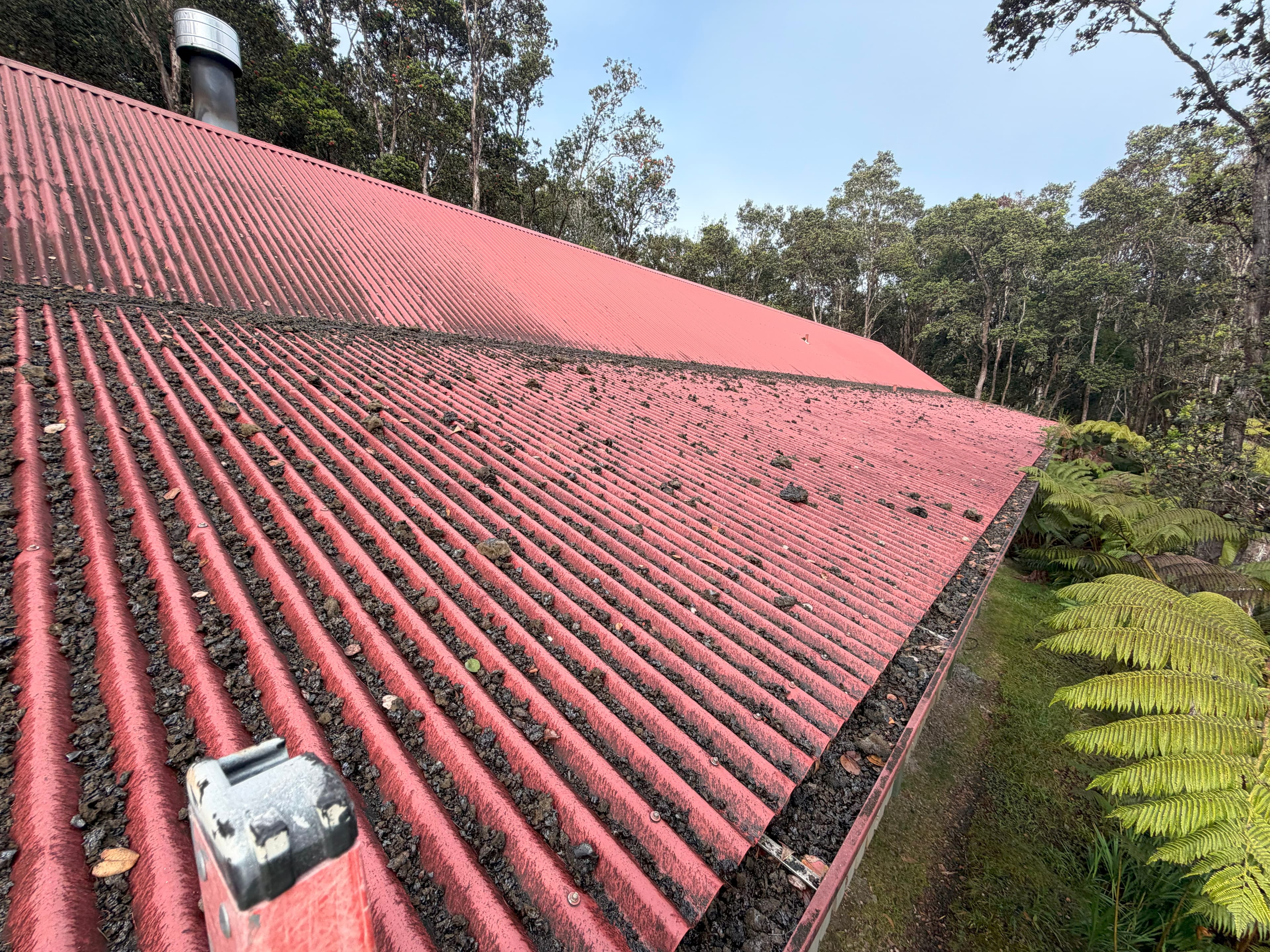 Roof before soft washing