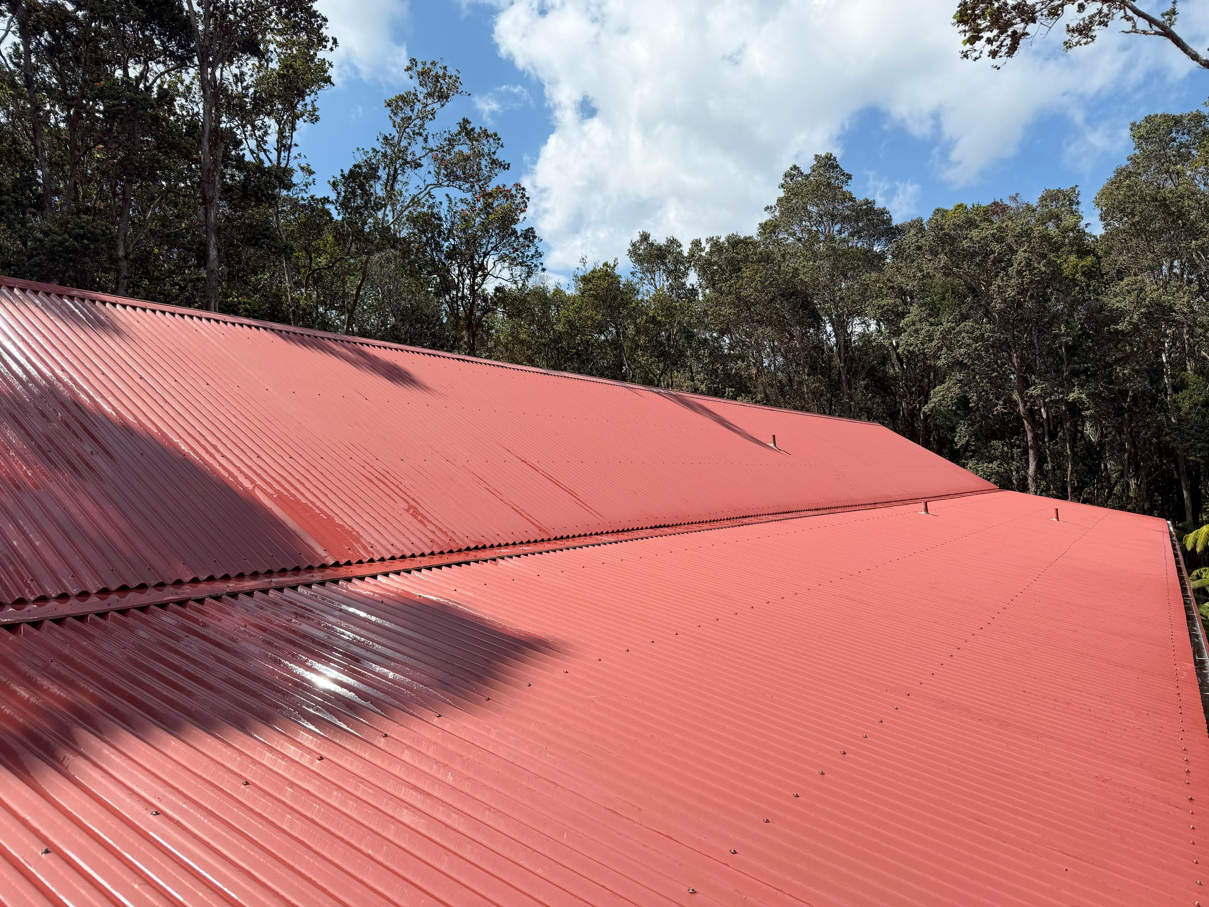 Roof after soft washing