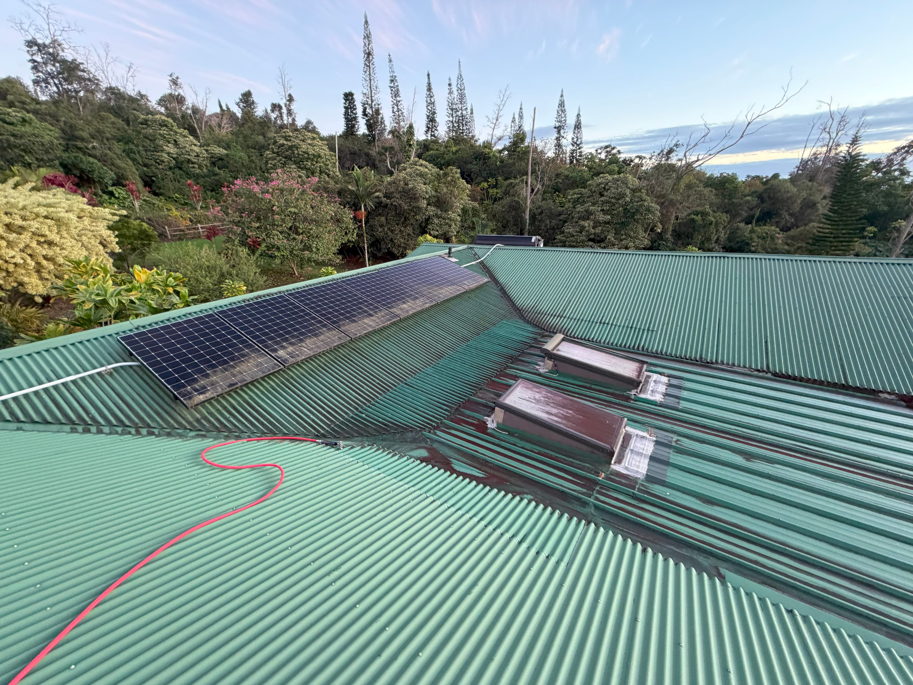 Roof with moss and black streaks before cleaning