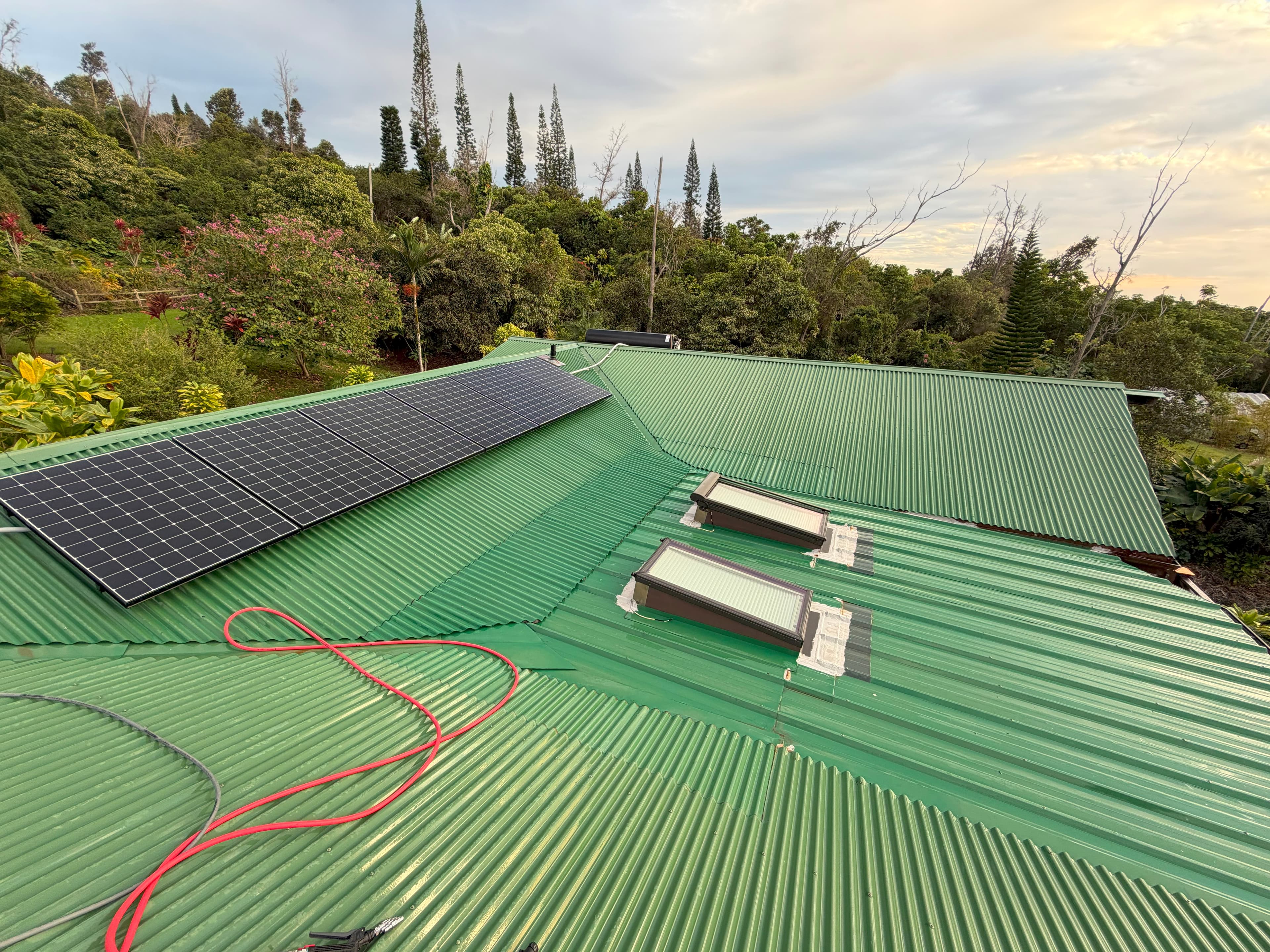 Roof cleaned after soft washing service