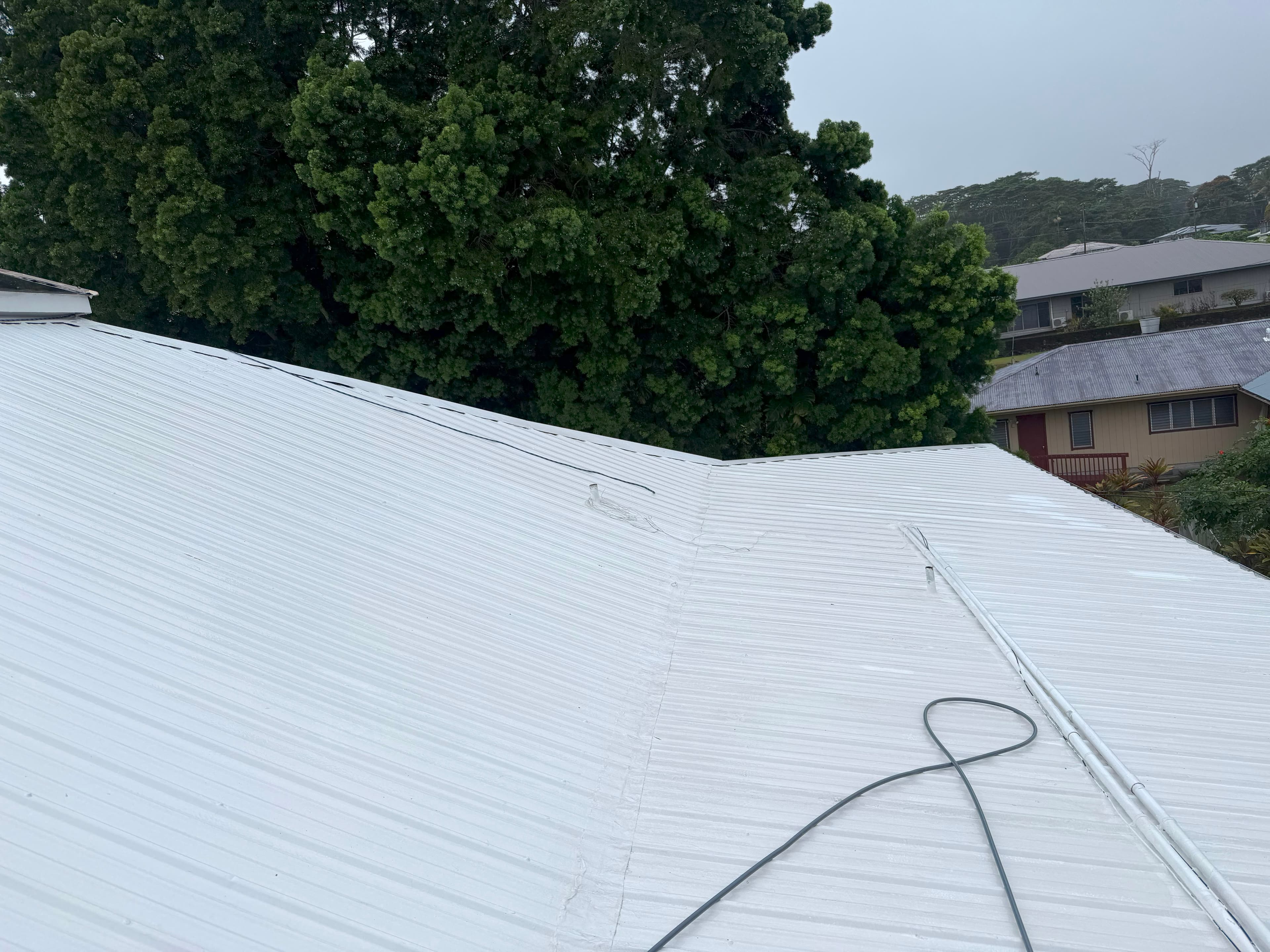 Roof after soft washing on Big Island Hawaii